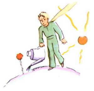 【法國文學】《小王子》第八章節